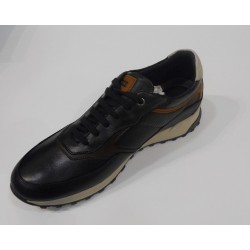 BLUCER SPOT PUMA BEARCHI